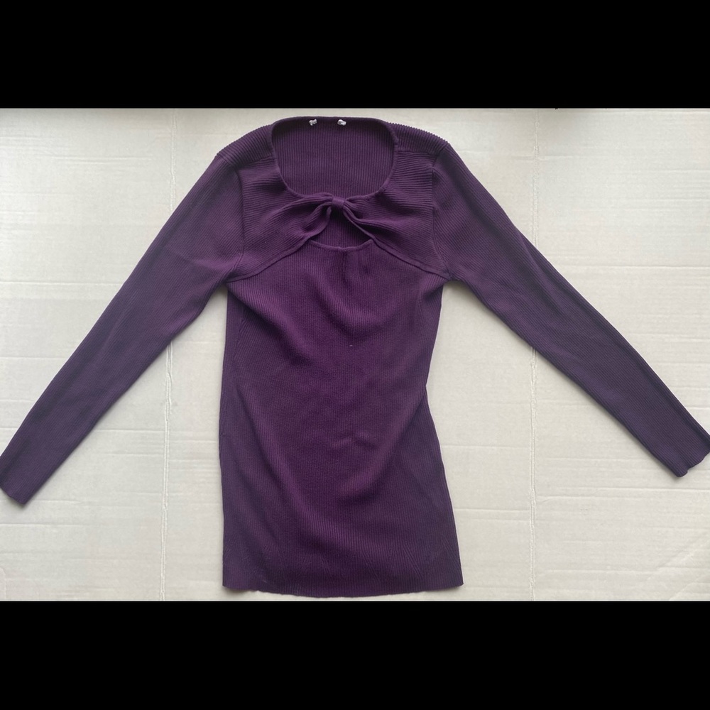 Long Sleeved Purple Shirt Blouse